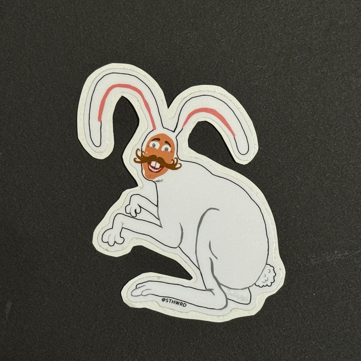 Complete Animal Vinyl Sticker Set image 5