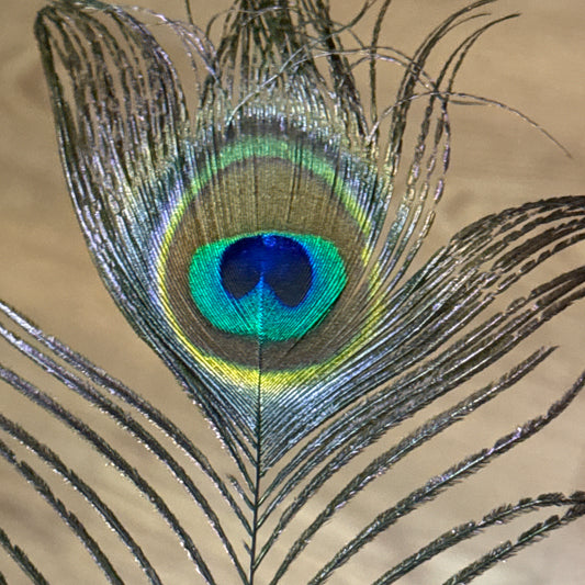 Piece of the Peacock image 1