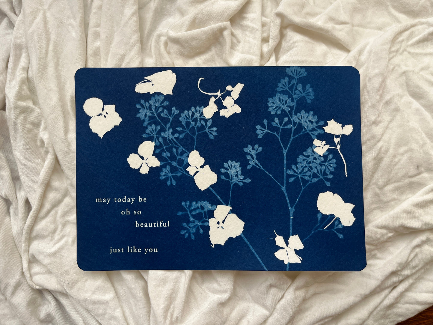 Affirming Flowers Cyanotype Prints Postcards • Set of 5