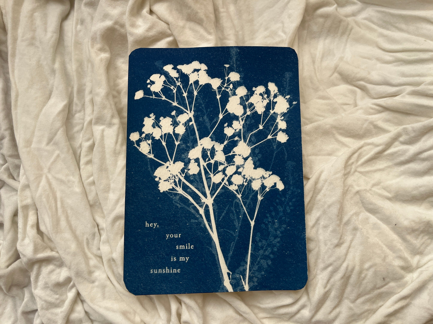 Affirming Flowers Cyanotype Prints Postcards • Set of 5