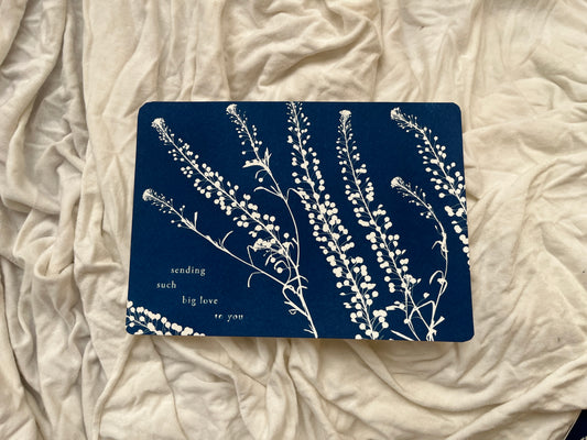 Affirming Flowers Cyanotype Prints Postcards • Set of 5