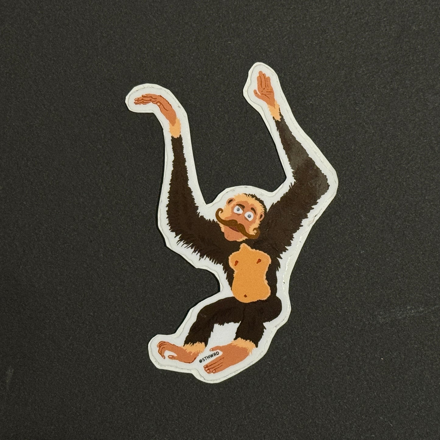 Complete Animal Vinyl Sticker Set image 11