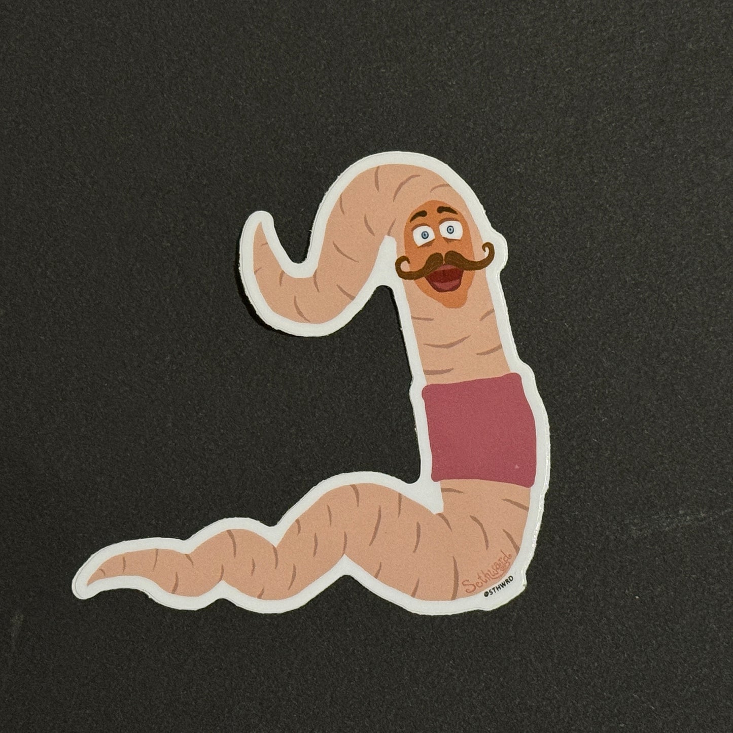 Complete Animal Vinyl Sticker Set image 10